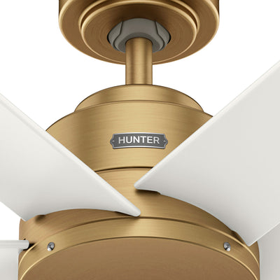 60 inch Kennicott ENERGY STAR® Luxe Gold Damp Rated Ceiling Fan and Handheld Remote