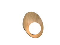 16.54'' Oyster Accord Wall Lamp Light