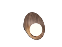 16.54'' Oyster Accord Wall Lamp Light