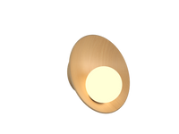 12.99'' Oyster Accord Wall Lamp Light