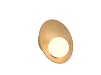 16.54'' Oyster Accord Wall Lamp Light