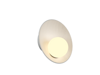 16.54'' Oyster Accord Wall Lamp Light