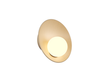 12.99'' Oyster Accord Wall Lamp Light