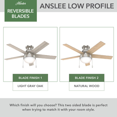 46 inch Anslee Brushed Nickel Low Profile Ceiling Fan with LED Light Kit and Pull Chain