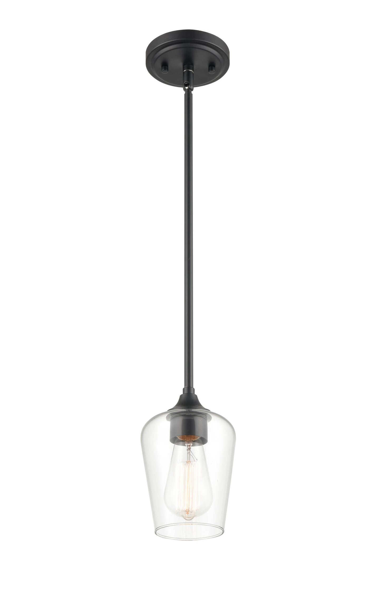 38'' Ashford Matte Black 1 Light Mini Pendant