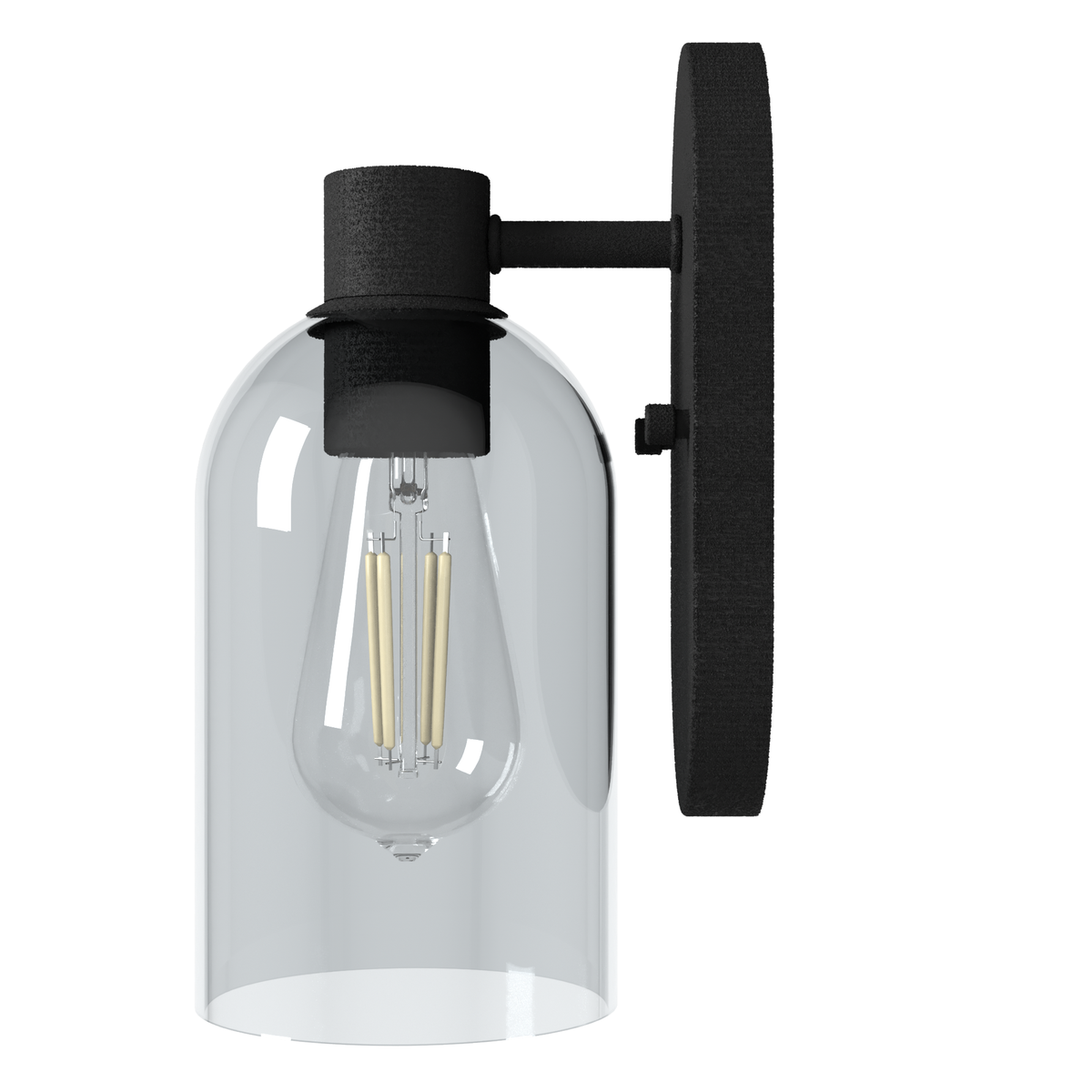 Lochemeade 10.25-inch 1-light Natural Black Iron Wall Sconce with Smoked Glass