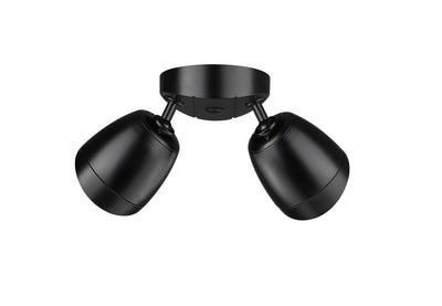 4.3''  Powder Coated Black 2 Light Flood Light