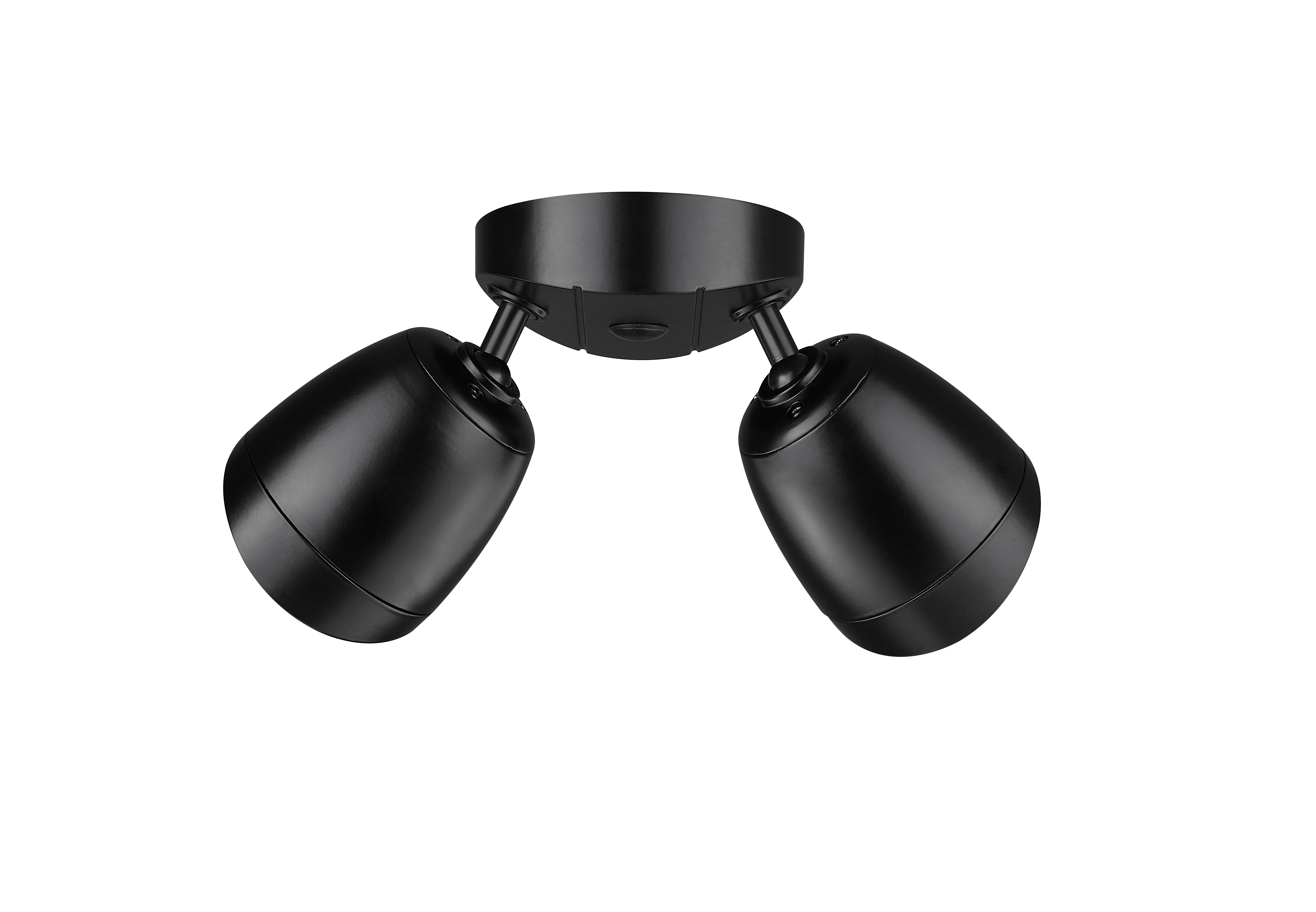 4.3''  Powder Coated Black 2 Light Flood Light