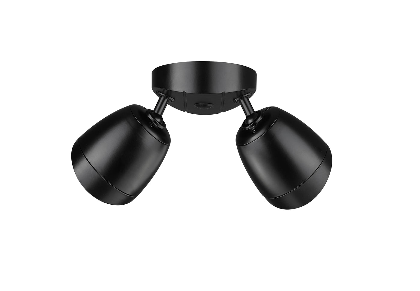 4.3''  Powder Coated Black 2 Light Flood Light