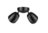 4.3''  Powder Coated Black 2 Light Flood Light