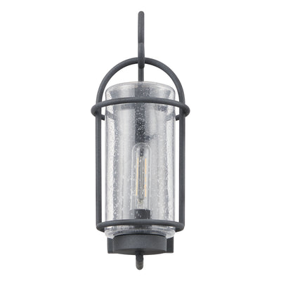 Taplow 16-inch 1-light Weathered Zinc Exterior Wall Sconce with Clear Seeded Glass Shade