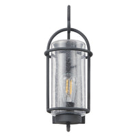 Taplow 16-inch 1-light Weathered Zinc Exterior Wall Sconce with Clear Seeded Glass Shade