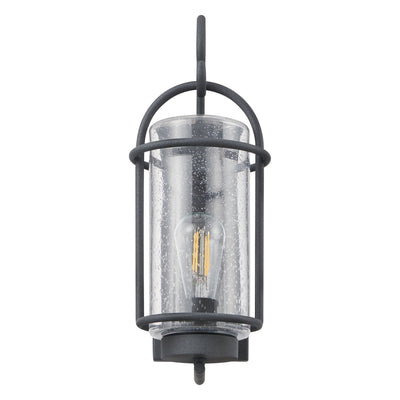 Taplow 16-inch 1-light Weathered Zinc Exterior Wall Sconce with Clear Seeded Glass Shade