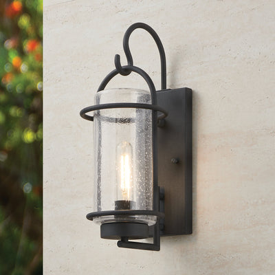 Taplow 16-inch 1-light Weathered Zinc Exterior Wall Sconce with Clear Seeded Glass Shade