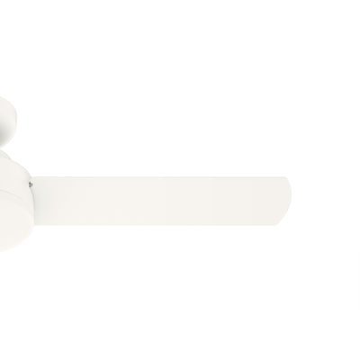 44 inch Presto Matte White Low Profile Ceiling Fan and Wall Control