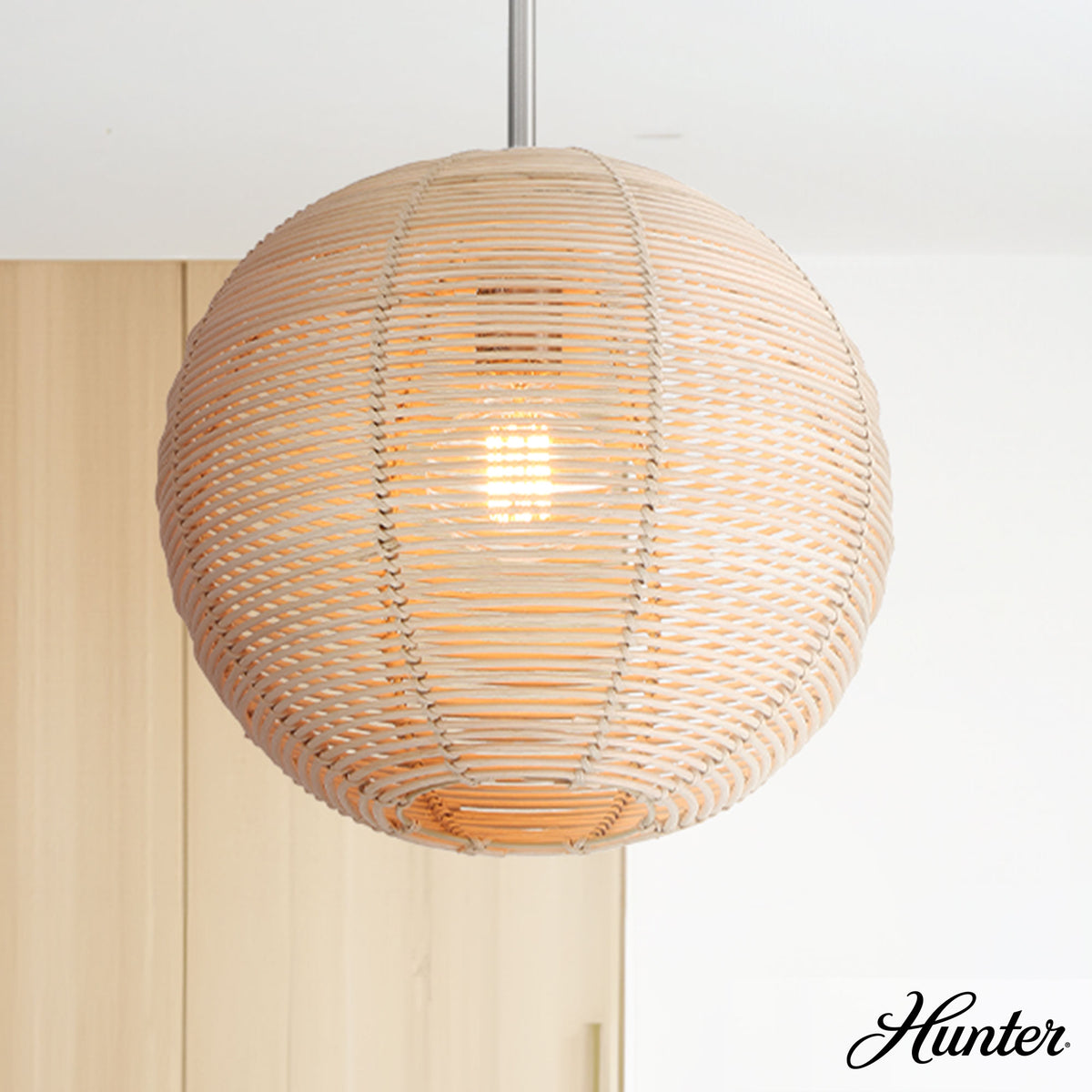 Xidane 12-inch 1-light Alturas Gold Globe Pendant with Clear Glass