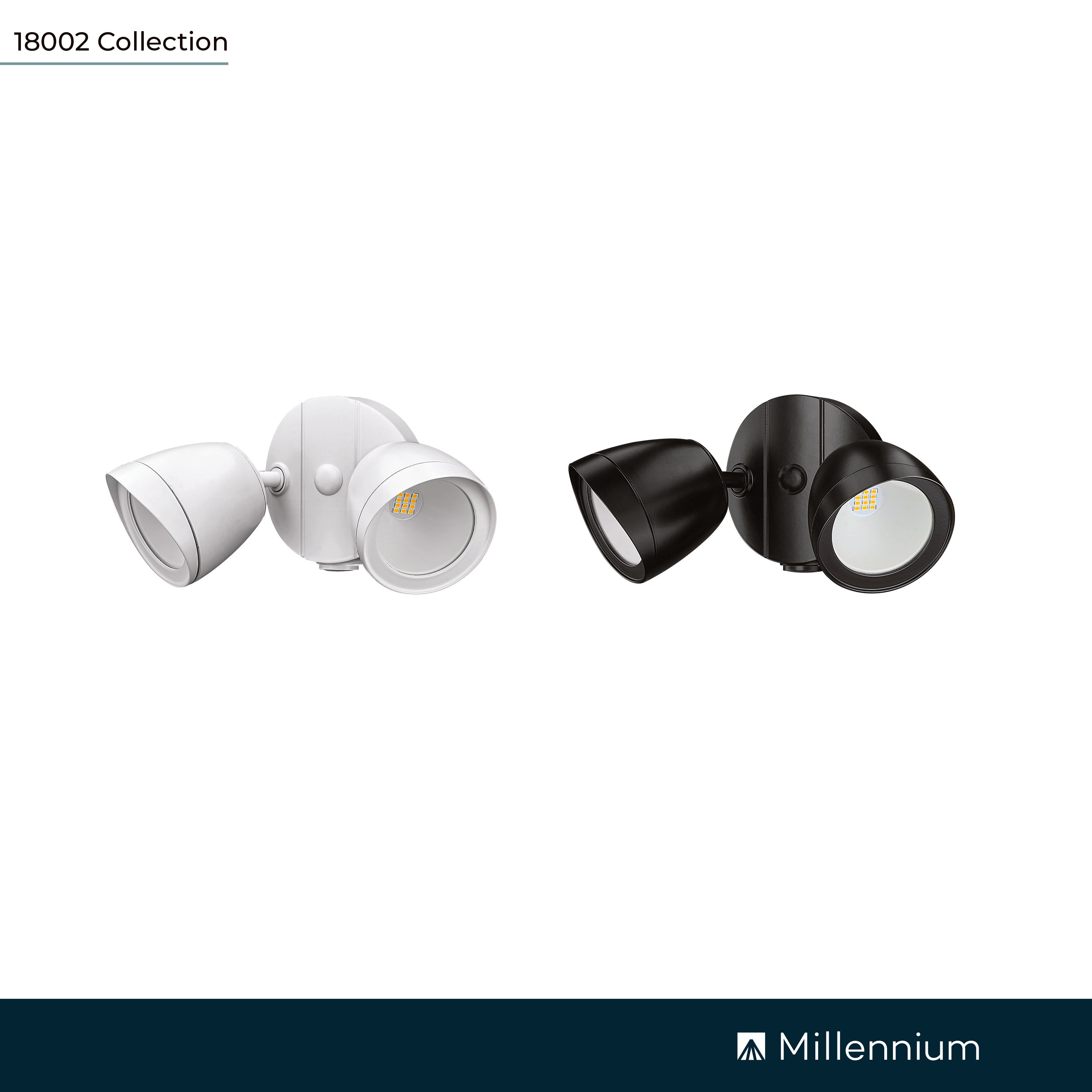 4.3''  Powder Coated Black 2 Light Flood Light