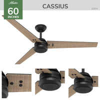 60 inch Cassius ENERGY STAR® Matte Black Damp Rated Ceiling Fan and Wall Control