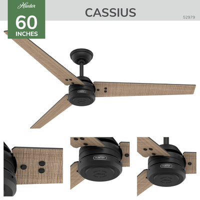 60 inch Cassius ENERGY STAR® Matte Black Damp Rated Ceiling Fan and Wall Control