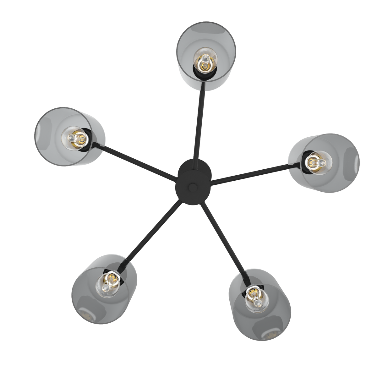 Lochemeade 26-inch 5-light Natural Black Iron Chandelier with Smoked Glass