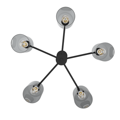 Lochemeade 26-inch 5-light Natural Black Iron Chandelier with Smoked Glass