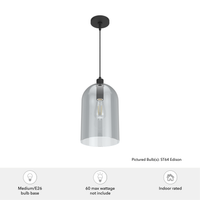 Lochemeade 9-inch 1-light Natural Black Iron Pendant with Smoked Glass