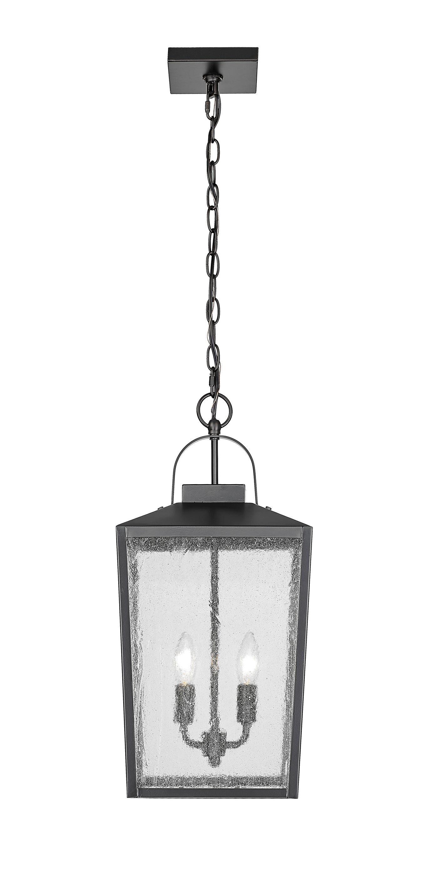 22-inch Devens Powder Coated Black 2-Light Outdoor Hanging Lantern with Clear Seeded Glass