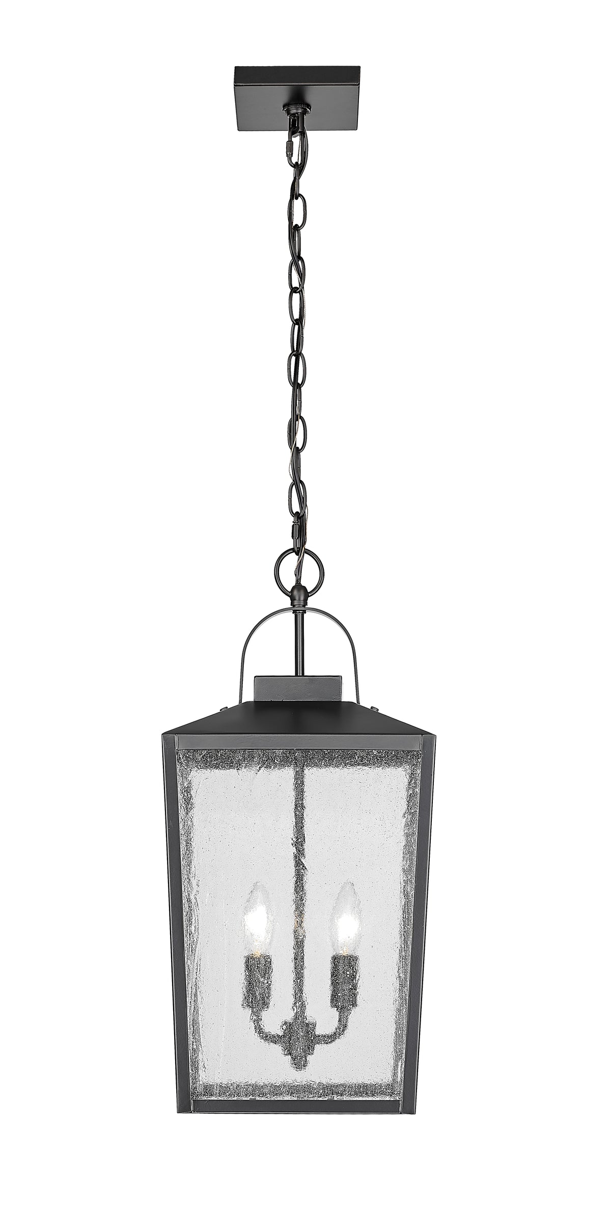 22-inch Devens Powder Coated Black 2-Light Outdoor Hanging Lantern with Clear Seeded Glass