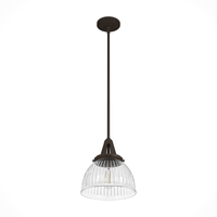 Cypress Grove 10-inch 1-light Onyx Bengal Industrial Pendant with Clear Holophane Glass