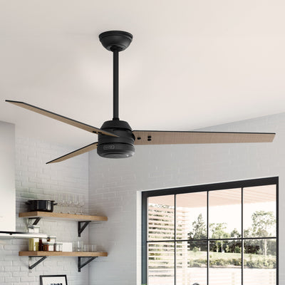 60 inch Cassius ENERGY STAR® Matte Black Damp Rated Ceiling Fan and Wall Control