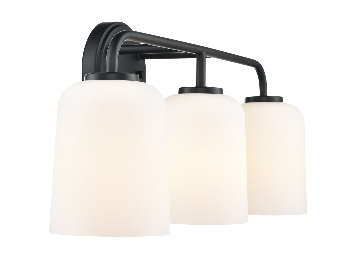 22'' Laphia Matte Black 3 Light Bath Vanity
