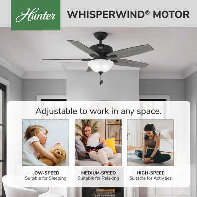 52 inch Newsome Matte Black Ceiling Fan with LED Light Kit and Pull Chain
