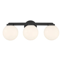 22'' Ardeva Matte Black 3 Light Bath Vanity