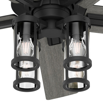 52 inch Astwood II  Matte Black Ceiling Fan with LED Light Kit and Handheld Remote