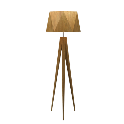 65.35'' Facet Accord Floor Lamp Light