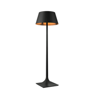 70.87'' Nosltalgia Accord Floor Lamp Light