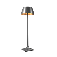 70.87'' Nosltalgia Accord Floor Lamp Light