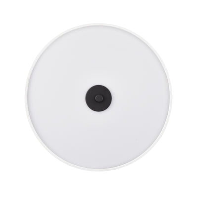 7.75'' Guyten Matte Black 2 Light Flush Mount
