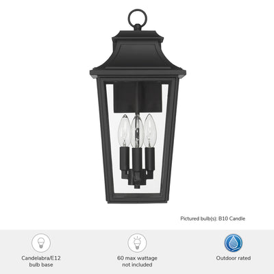 Spring Cove 17-inch 3-light Matte Black Outdoor Wall Light with Clear Glass