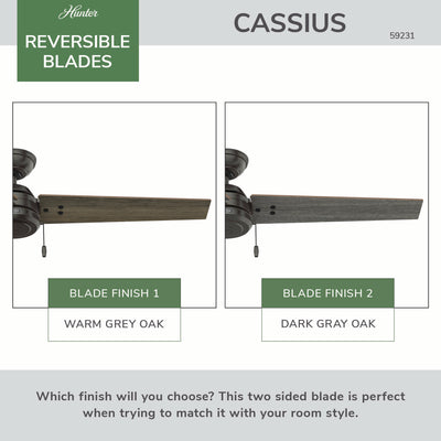 52 inch Cassius Noble Bronze Damp Rated Ceiling Fan and Pull Chain