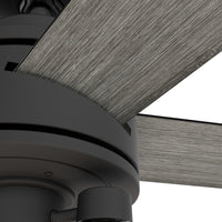 52 inch Lochemeade Matte Black Ceiling Fan with LED Light Kit and Handheld Remote