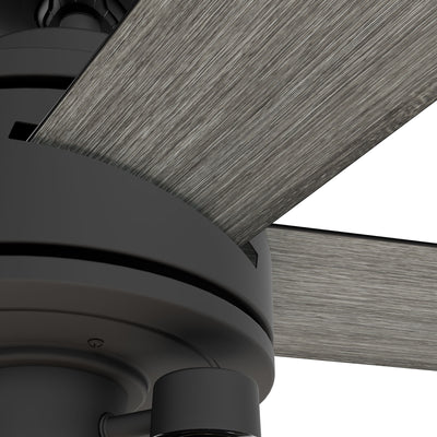 52 inch Lochemeade Matte Black Ceiling Fan with LED Light Kit and Handheld Remote