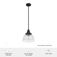 Cypress Grove 10-inch 1-light Onyx Bengal Industrial Pendant with Clear Holophane Glass