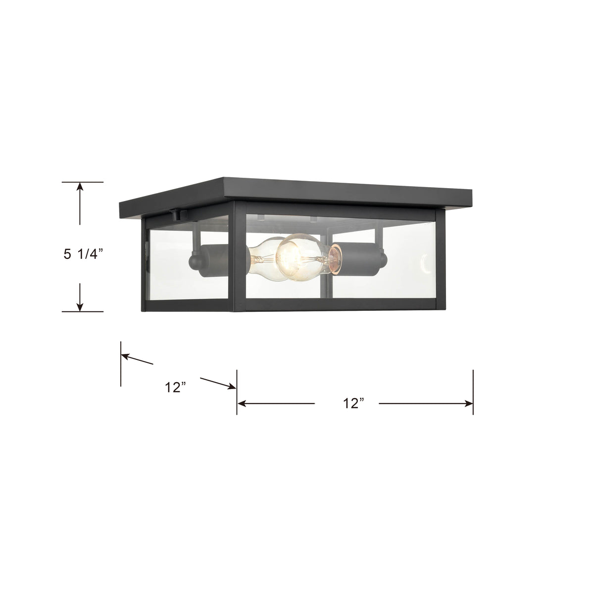 12-inch Evanton Powder Coated Black 2-Light Outdoor Flush Mount Ceiling Light with Clear Glass