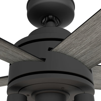 52 inch Lochemeade Matte Black Ceiling Fan with LED Light Kit and Handheld Remote