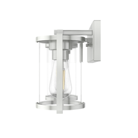Astwood 15.5-inch 2-light Brushed Nickel Vanity Light with Clear Glass