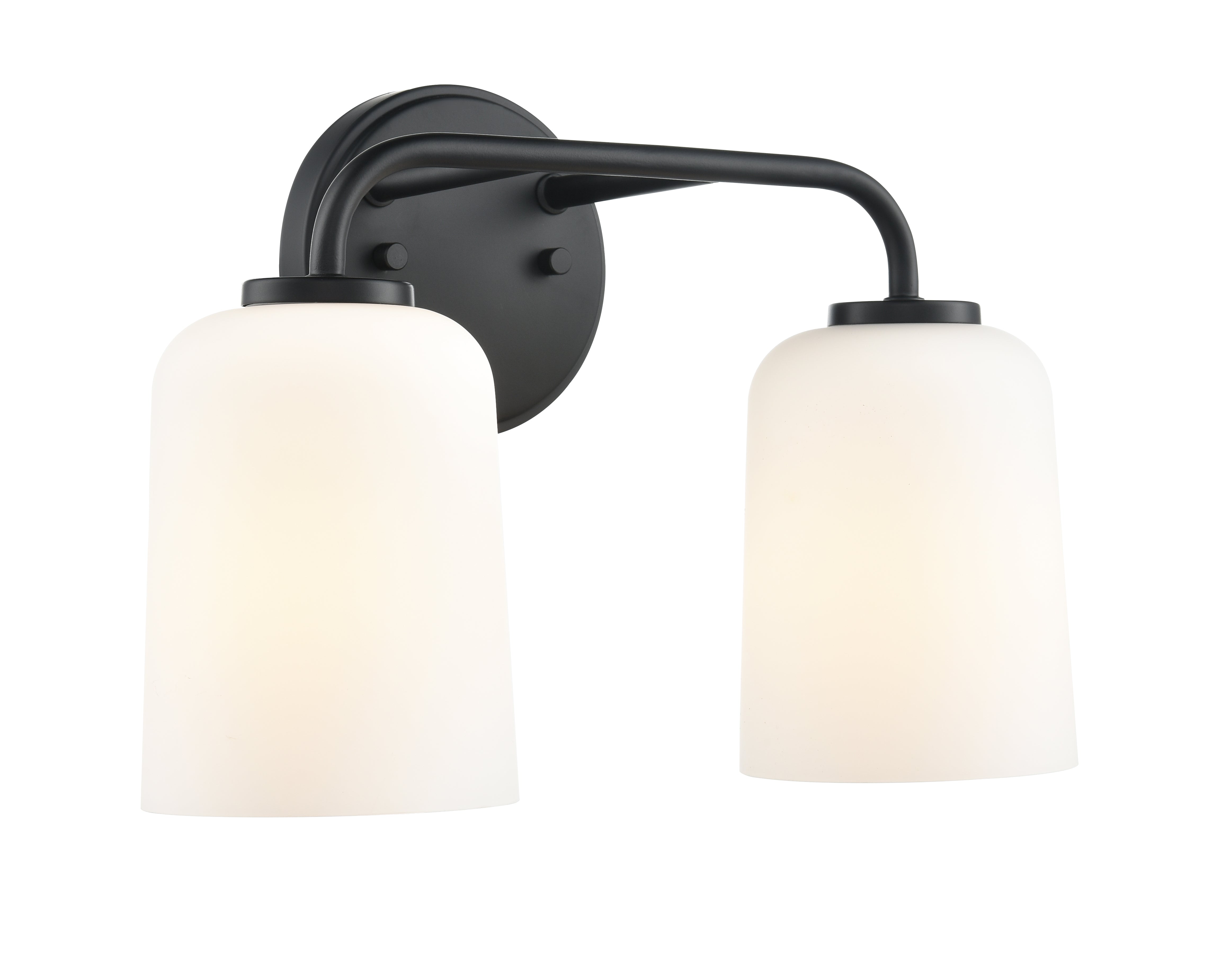 14'' Laphia Matte Black 2 Light Bath Vanity