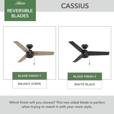 44 inch Cassius Matte Black Damp Rated Ceiling Fan and Pull Chain