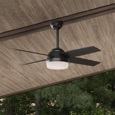 52 inch Dempsey Matte Black Damp Rated Ceiling Fan with LED Light Kit and Handheld Remote