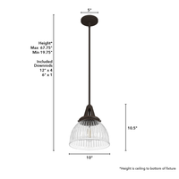 Cypress Grove 10-inch 1-light Onyx Bengal Industrial Pendant with Clear Holophane Glass